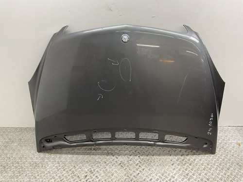 Motorhaube 1698800357